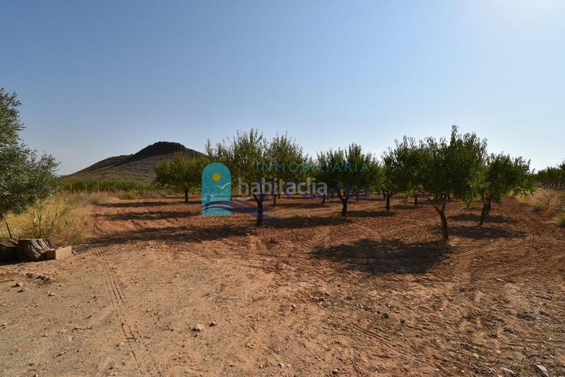 Foto 47603917-098a-46c1-b079-72ef8be0de42. Rural plot in Mazarrón casco urbano Mazarrón