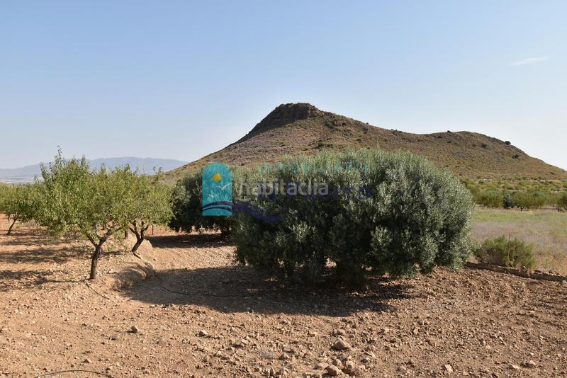 Foto 5f3ab82d-86a2-4e4f-b00a-fe137d763f30. Rural plot in Mazarrón casco urbano Mazarrón