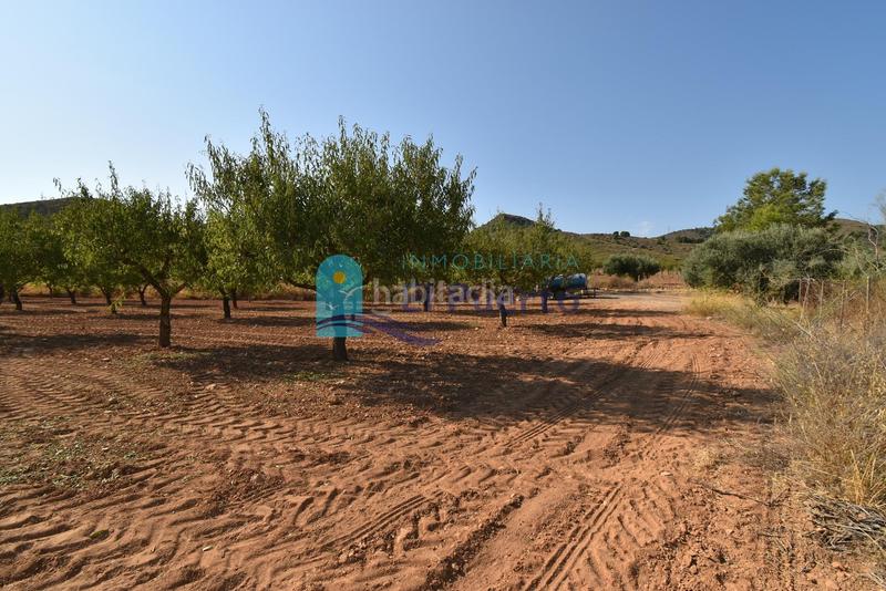 Foto 69b43e61-27bc-4e34-be6d-2a6c88faa63f. Rural plot in Mazarrón casco urbano Mazarrón