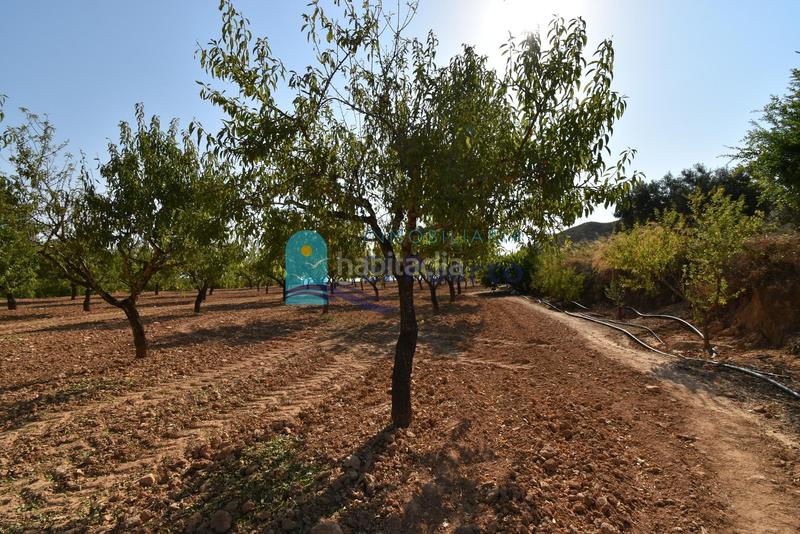 Foto 728f0330-bcba-45e7-9cc3-b1f421248302. Rural plot in Mazarrón casco urbano Mazarrón