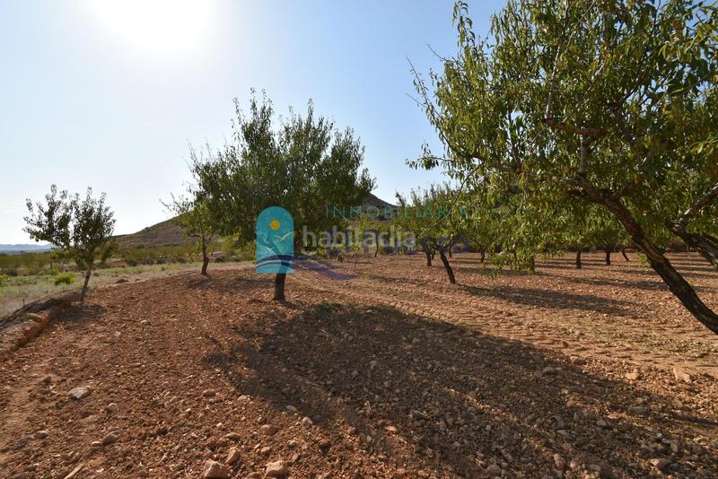 Foto 80f41148-6fc9-4563-acbc-6912e47fae09. Rural plot in Mazarrón casco urbano Mazarrón