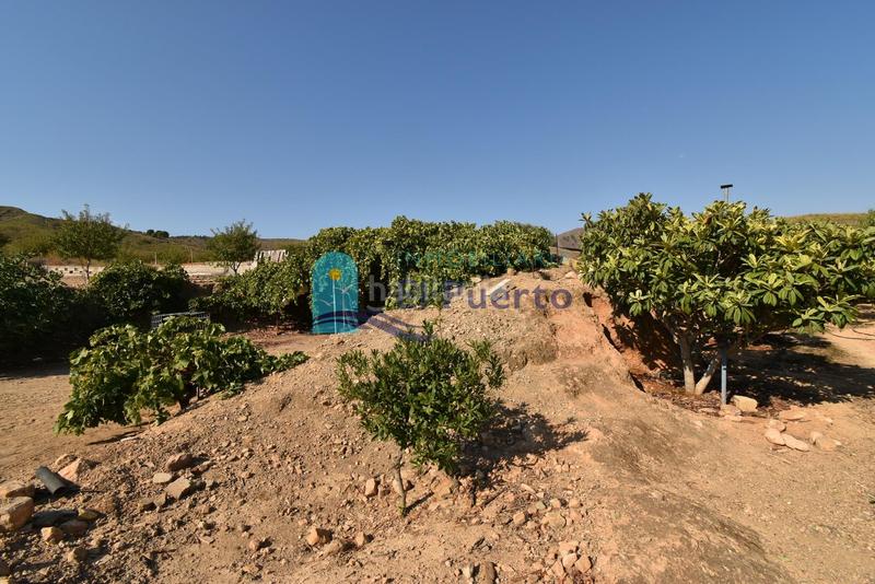 Foto 852870c2-aa4f-41ac-8b2a-342d257a1cf2. Rural plot in Mazarrón casco urbano Mazarrón