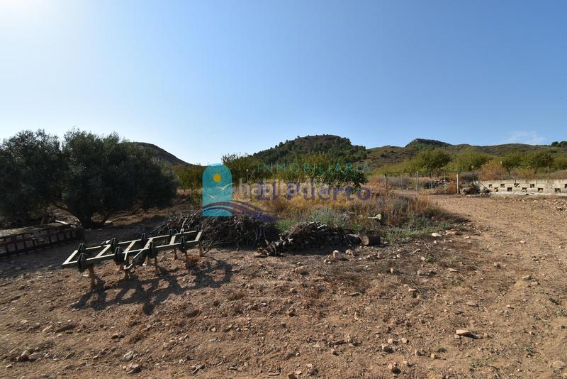 Foto 9a93b557-f1e2-480d-8038-1ce511ec21ec. Rural plot in Mazarrón casco urbano Mazarrón