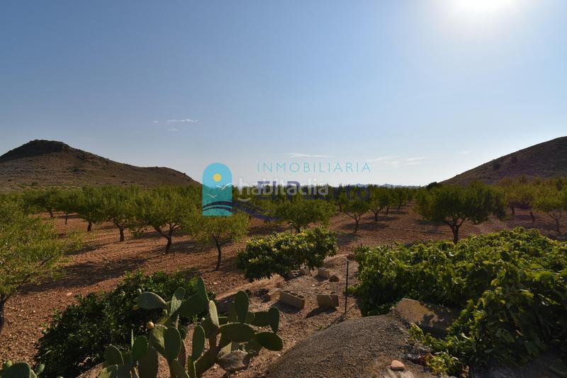 Foto c75bc74e-48e4-4c5c-875e-9e1366ad582e. Rural plot in Mazarrón casco urbano Mazarrón