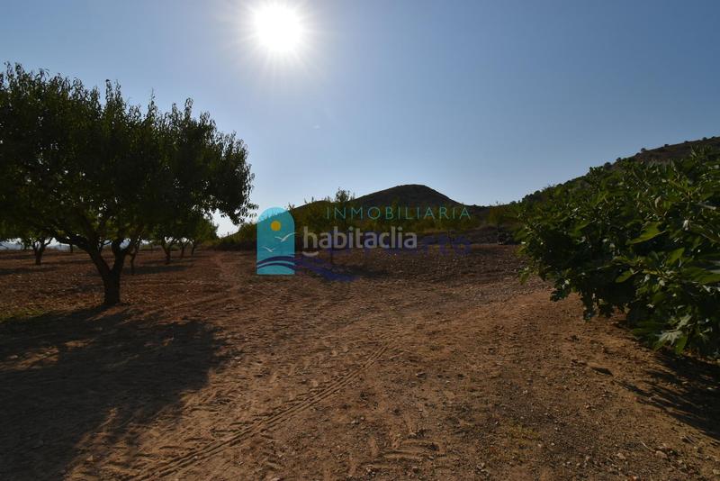 Foto ca087d76-3df8-4b8e-947b-3946ff836529. Rural plot in Mazarrón casco urbano Mazarrón