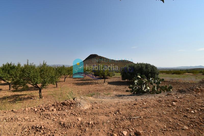 Foto dc84aceb-d3d8-4b06-a60b-349117bddb16. Rural plot in Mazarrón casco urbano Mazarrón