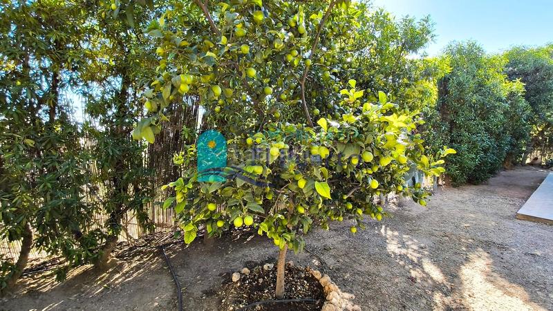 Foto 1db9e818-20cf-48b4-85b9-e39a7af3bf2a. Casa amb calefacció piscina a Bolnuevo Mazarrón