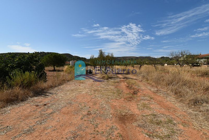 Foto 14d2c085-cca2-47d2-96f1-3e2db581e636. Finca rústica a Perín Cartagena