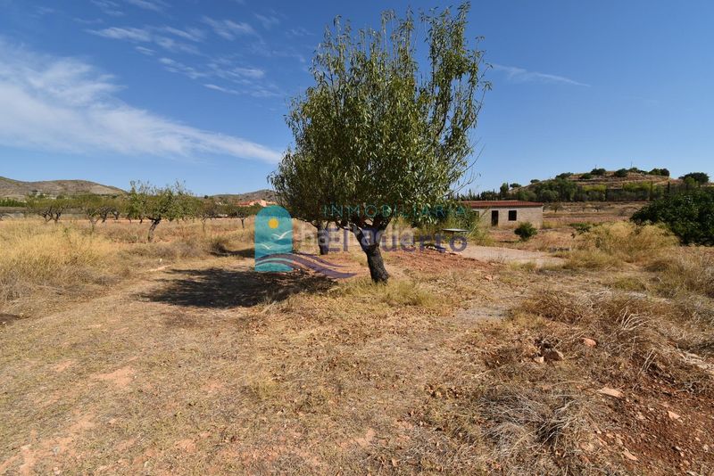 Foto 1a696839-87de-4ff3-93d6-8c9ed580b098. Finca rústica a Perín Cartagena