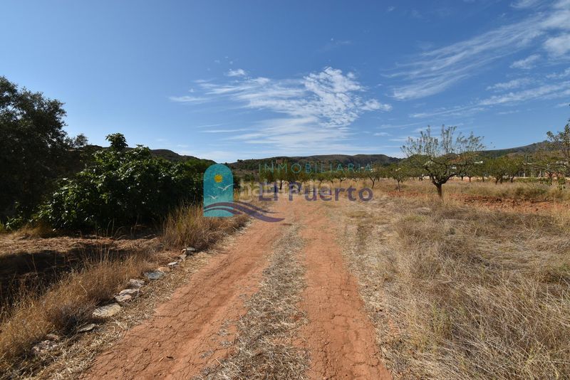 Foto 1af1e9a9-5e55-49ac-93e7-6b789680a407. Finca rústica a Perín Cartagena