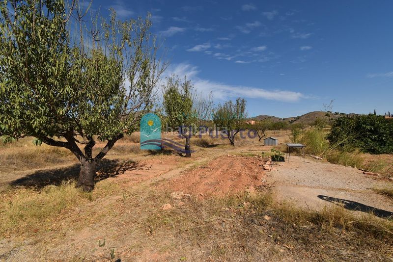 Foto 387be334-5077-4bbb-a393-4705f1620db5. Finca rústica a Perín Cartagena