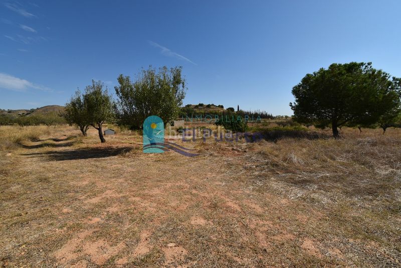 Foto 4af6eb0c-f519-44dc-ac5c-1f6762e009d6. Finca rústica a Perín Cartagena