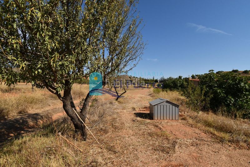 Foto 51f2aa9e-7ba4-49c6-afae-48051a820739. Finca rústica a Perín Cartagena