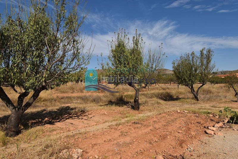 Foto 54a4af52-6608-4cce-bdb2-59760c4e4c02. Finca rústica a Perín Cartagena