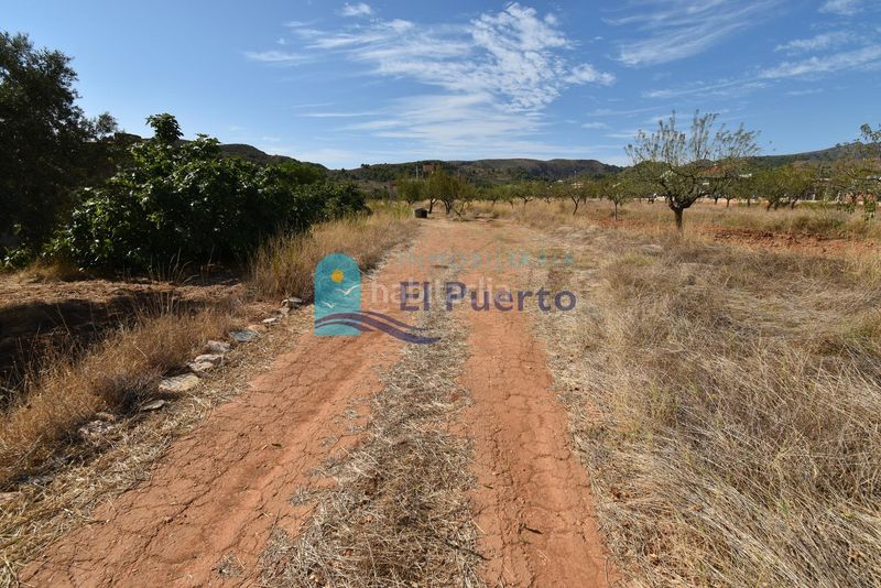 Foto 5f2bd3d8-d2c5-4e98-90a2-b6caeed41348. Finca rústica a Perín Cartagena
