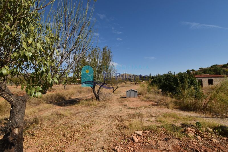 Foto 66a3da80-07b7-4a41-a44e-d6615daf7386. Finca rústica a Perín Cartagena