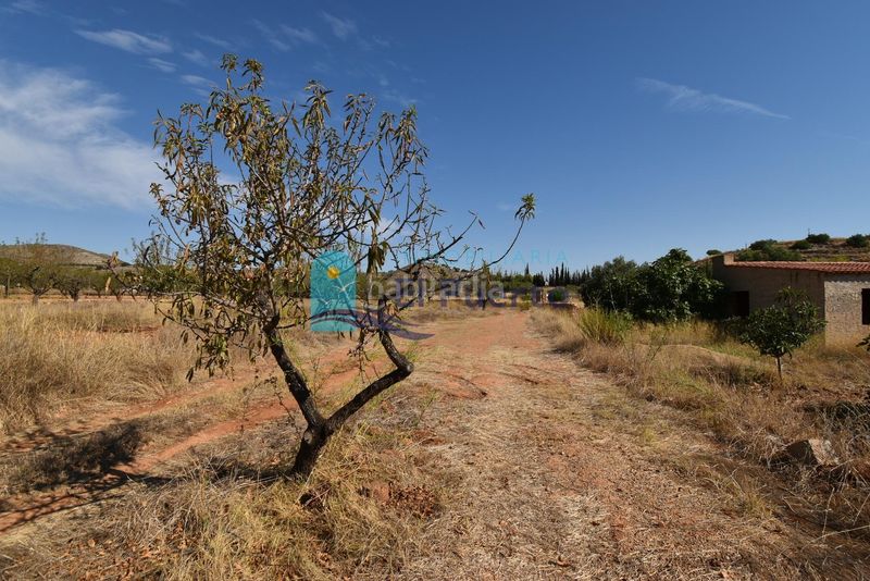 Foto 7608a936-fa8c-421e-8776-2b87ffbdf31c. Finca rústica a Perín Cartagena