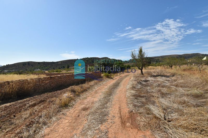 Foto a14aa5ef-8564-4a13-bdf8-fbe8d824fb50. Finca rústica a Perín Cartagena