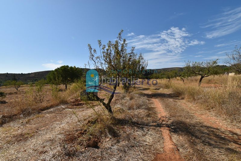 Foto df208f18-1bb4-42c0-ab10-8d30de036355. Finca rústica a Perín Cartagena