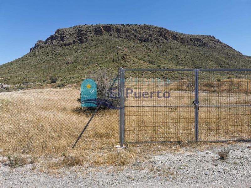 Foto c66cf95e-3cea-437b-947d-155cbc215852. Finca rústica a Ramonete Lorca
