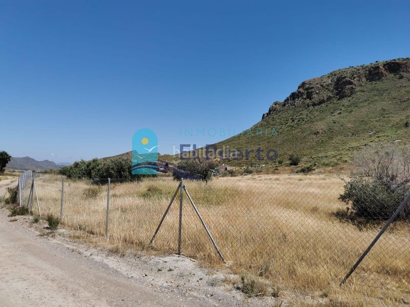 Foto e873f453-40d0-4fdb-a7fb-dee53fcec82e. Finca rústica a Ramonete Lorca