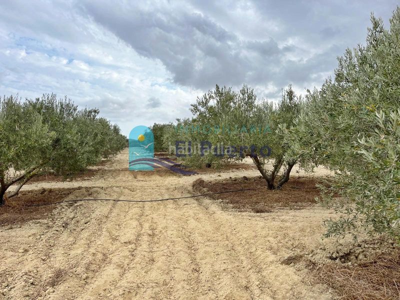 Foto f7347daf-cb3c-4621-9543-0aa090a36f65. Casa amb aparcament a Mazarrón casco urbano Mazarrón