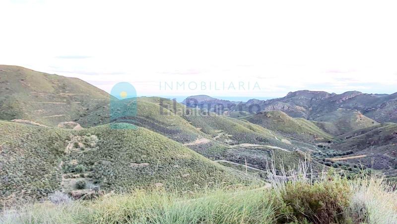 Foto 00fdebcd-3f03-4fe5-967b-a6db6f775c81. Finca rústica a Morata Lorca