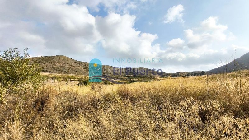 Foto 301f95f4-57aa-4369-80d7-a9da5d3c77e2. Finca rústica a Morata Lorca