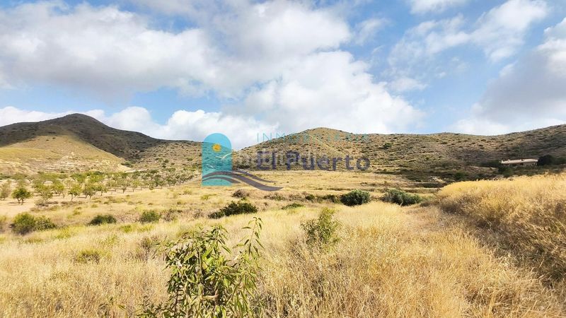 Foto 93a8ab7a-e0e7-48bf-b9dc-97dbc3123994. Finca rústica a Morata Lorca