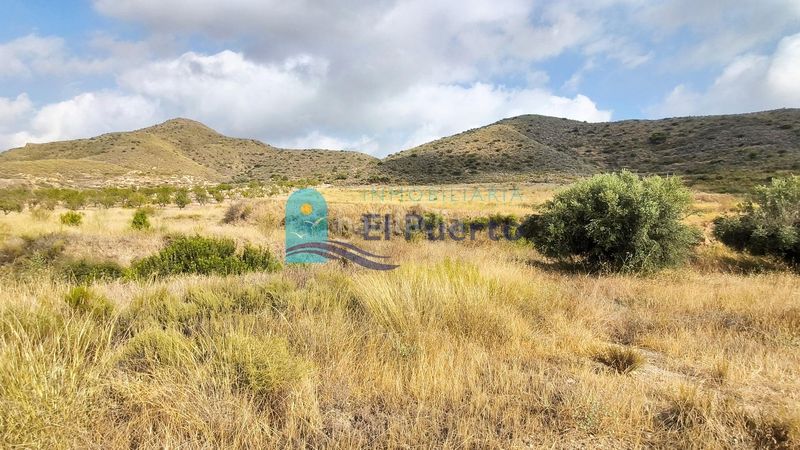 Foto c0b82cd5-0023-43d5-b292-6017408f91e1. Finca rústica a Morata Lorca