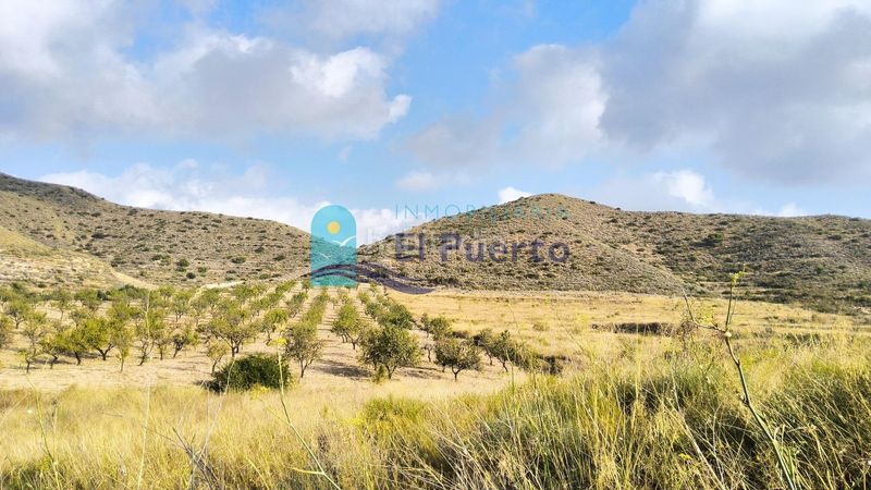 Foto c8f09a30-807e-4cd5-9cf9-4f1f08d2172c. Finca rústica a Morata Lorca