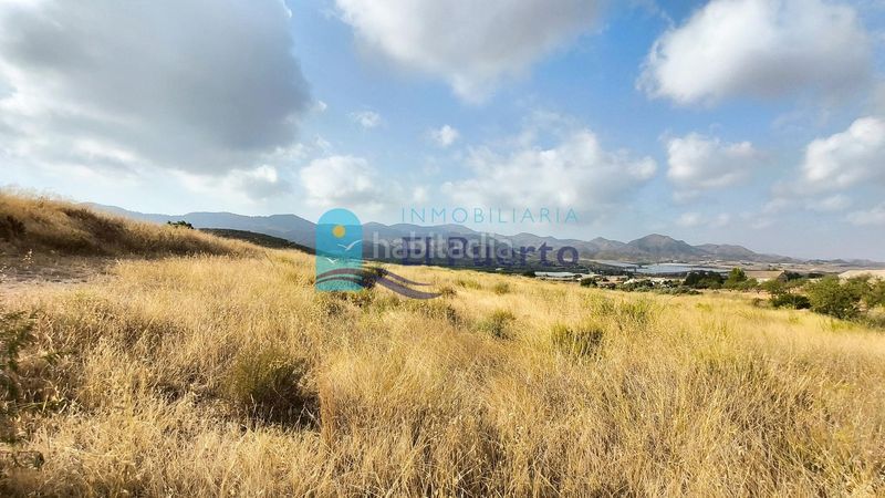 Foto ca21b3be-1887-4603-a822-cb1ded680967. Finca rústica a Morata Lorca