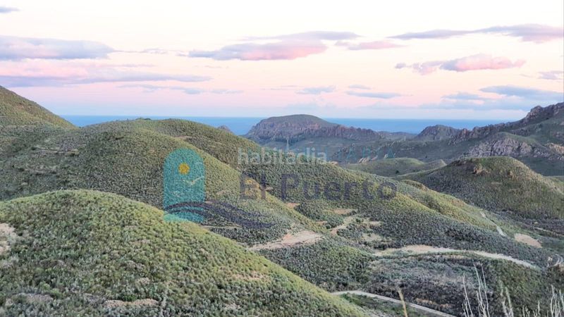 Foto cef5e162-b760-49b2-825c-4fbf340fd510. Finca rústica a Morata Lorca