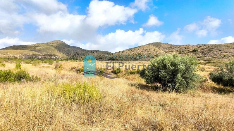 Foto e35b218d-86ed-4e39-9a94-bf5de19f4e81. Finca rústica a Morata Lorca