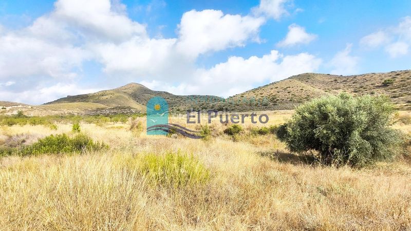 Foto e50520f5-648c-4b78-8c1b-70f1cdc0b62c. Finca rústica a Morata Lorca