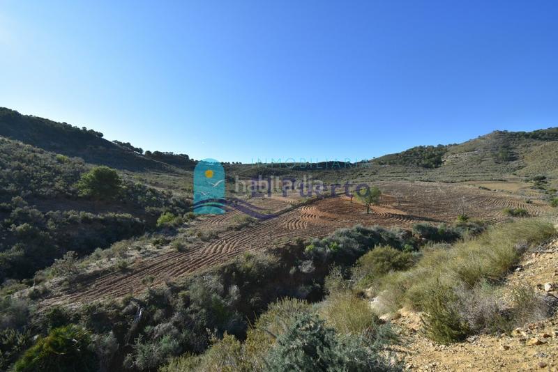 Foto 3fa4ad2d-c0e9-4c87-9ffa-e81019898c44. Landgut in Mazarrón casco urbano Mazarrón