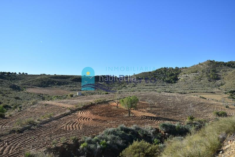 Foto 48d3da27-b724-4c0f-9dad-a21126a543cc. Landgut in Mazarrón casco urbano Mazarrón