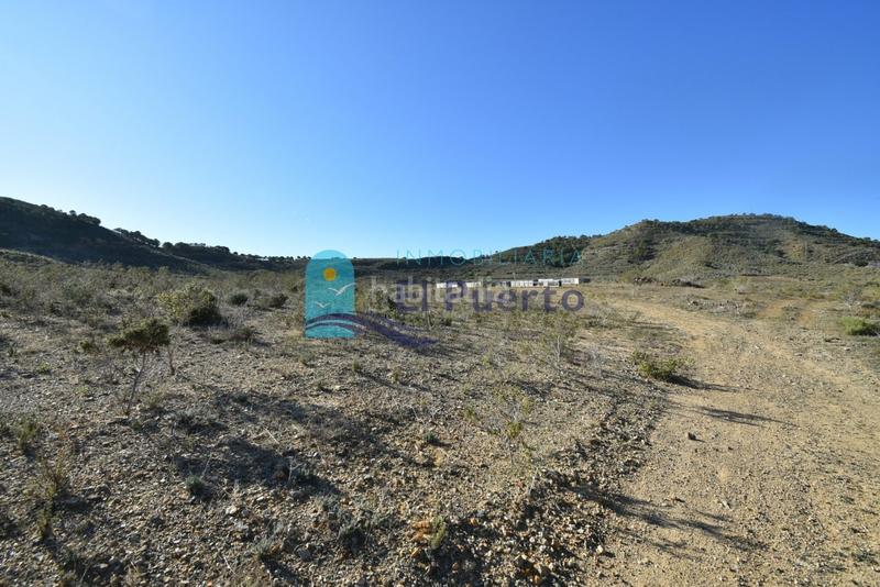 Foto 515fa782-05a3-492a-bb29-e5bb97559936. Landgut in Mazarrón casco urbano Mazarrón