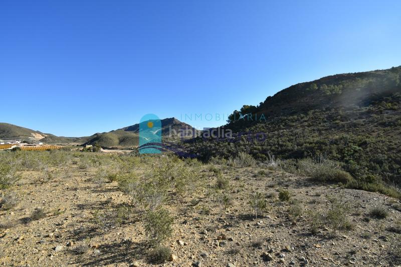 Foto c36425be-8f7a-45e5-9629-6caa94e4bb33. Landgut in Mazarrón casco urbano Mazarrón