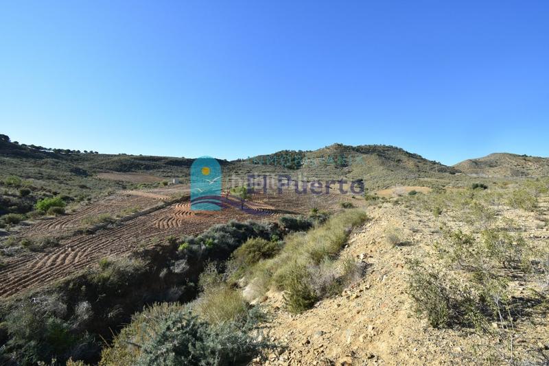 Foto d6e06d95-bae3-4280-8ae2-a774071f04be. Landgut in Mazarrón casco urbano Mazarrón