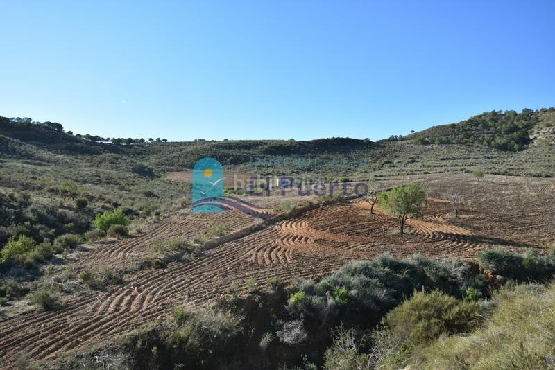 Foto f13fda27-6c5a-4aba-949f-b055187d2f49. Landgut in Mazarrón casco urbano Mazarrón