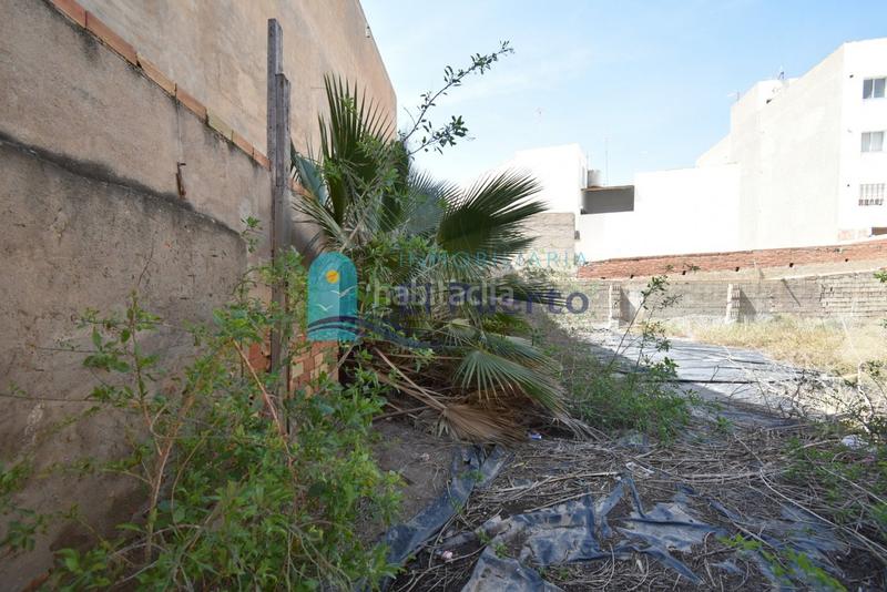 Foto 2575ad29-6803-4f73-90ea-59fef66953b3. Residential plot in Pescadores Mazarrón