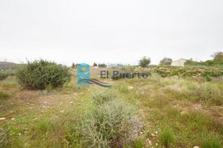 Finca rústica a Campo Nubla. Tres terrenos accesibles a luz y agua y con derecho a pozo. ref
