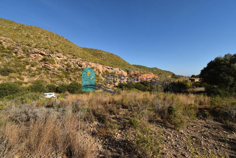 Foto 1ed2cbe8-3baa-4305-b50c-feb14262ea70. Rural plot in Mazarrón casco urbano Mazarrón