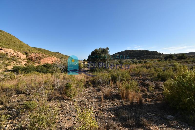 Foto 45343715-86d8-48fa-9952-a365d057ff0f. Rural plot in Mazarrón casco urbano Mazarrón
