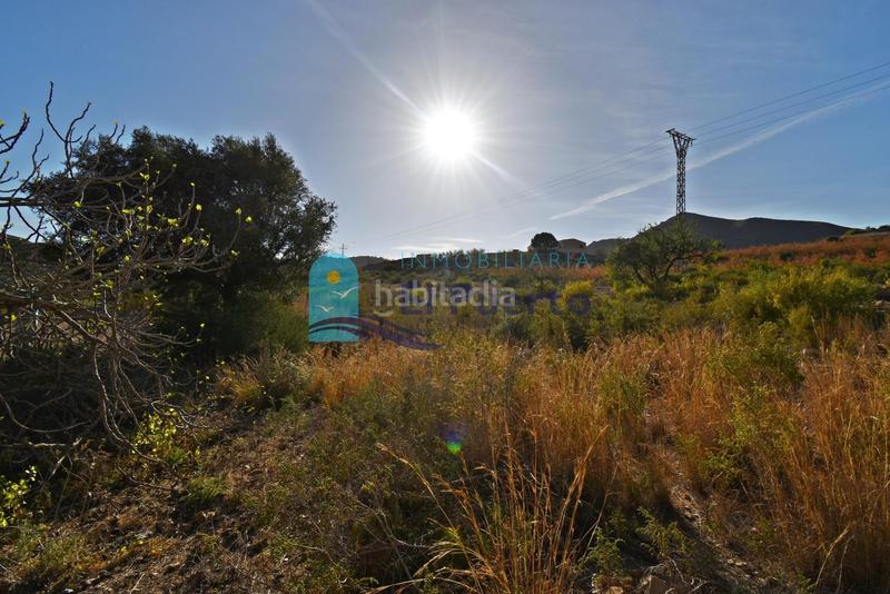 Foto 46e8cb77-39f4-44a2-81f9-ce679d1ca508. Rural plot in Mazarrón casco urbano Mazarrón