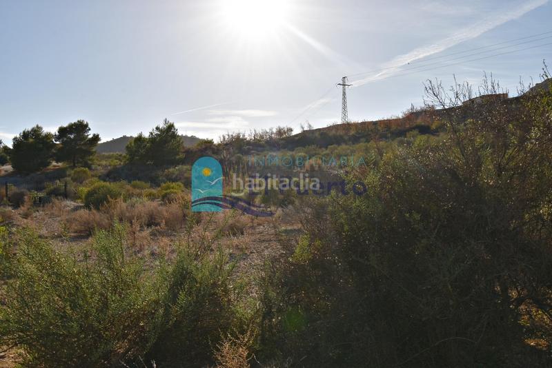 Foto 4e00c559-75a1-47d6-a3d8-d8dcd2625787. Rural plot in Mazarrón casco urbano Mazarrón
