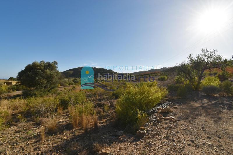 Foto 68b14f79-0914-454f-bc2c-a5b60bb38001. Rural plot in Mazarrón casco urbano Mazarrón