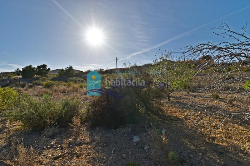 Foto 86e08c93-168d-47e9-99f4-a602a84fa944. Rural plot in Mazarrón casco urbano Mazarrón