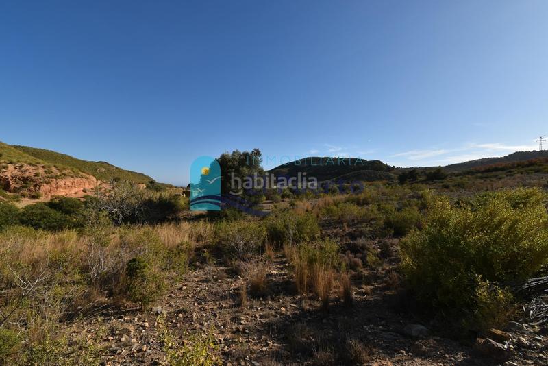 Foto c9d67d8e-223c-46ad-81fe-514dd4e6ac66. Rural plot in Mazarrón casco urbano Mazarrón